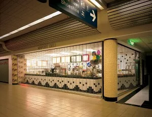 security grilles from overhead door